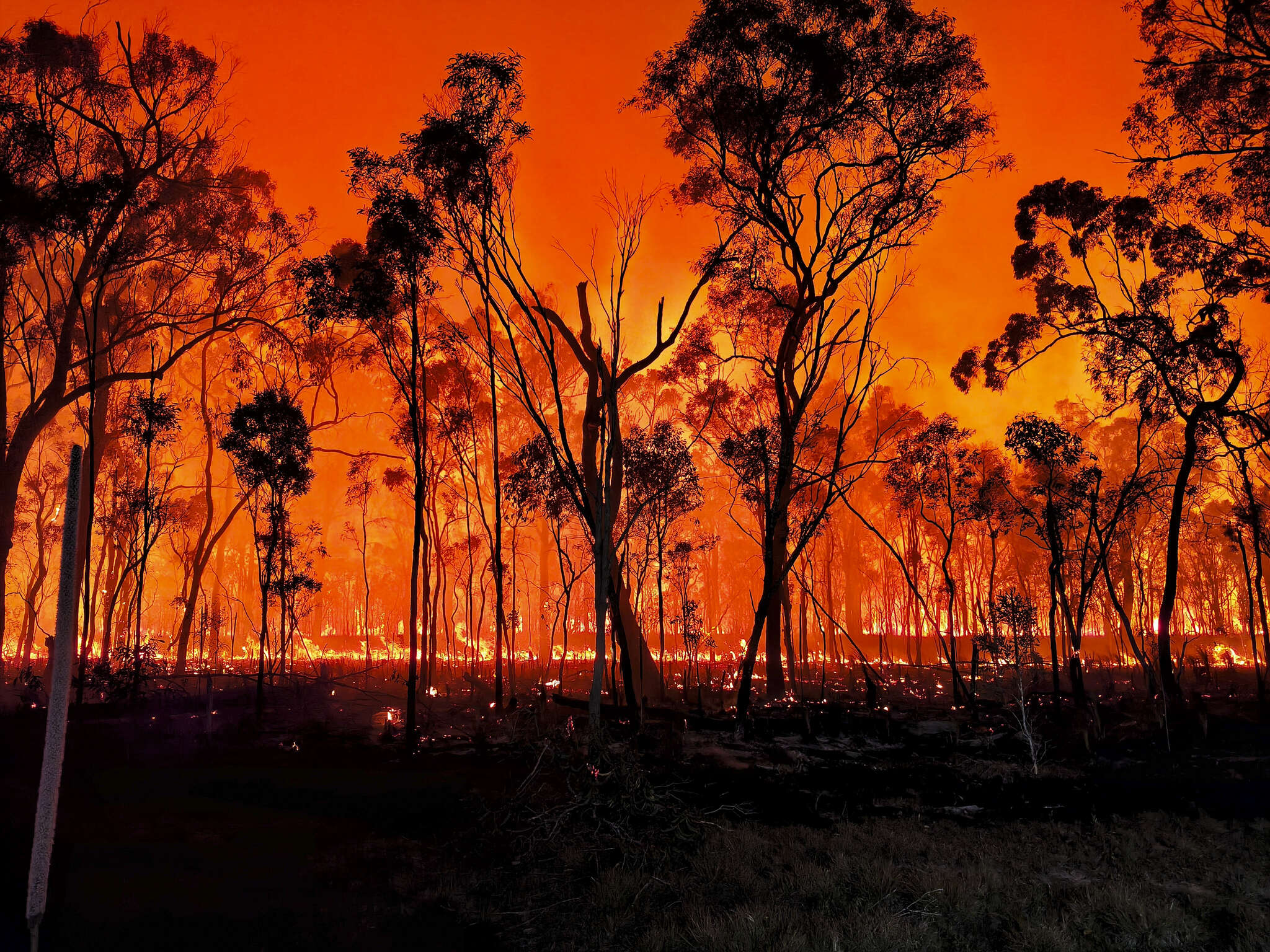 An orange sky from bushfires buring in Bucca, Queensland.