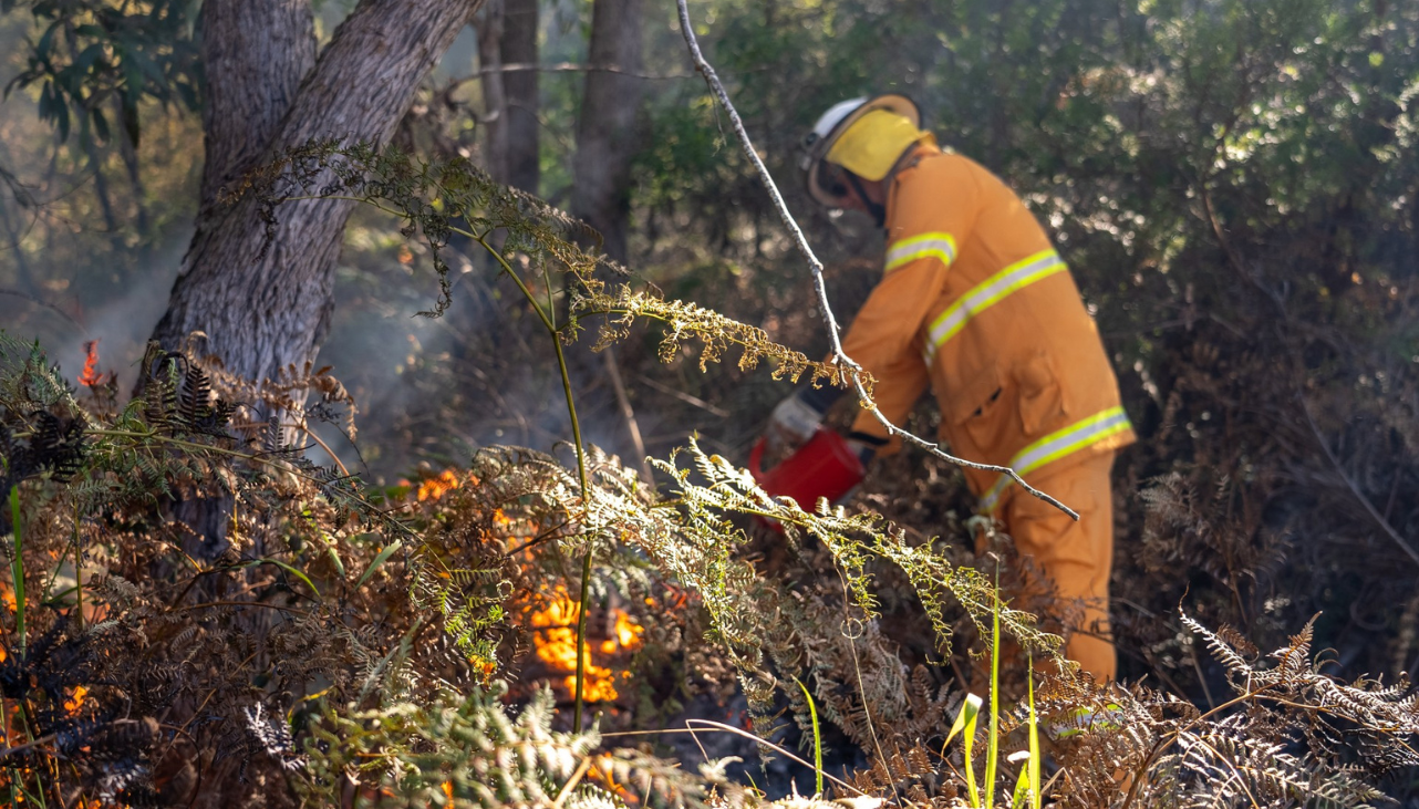 A uniforms volunteer stands in scrubland burning tree debris. 