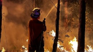 A RFSQ firefighter with their back to the camera holding a hose