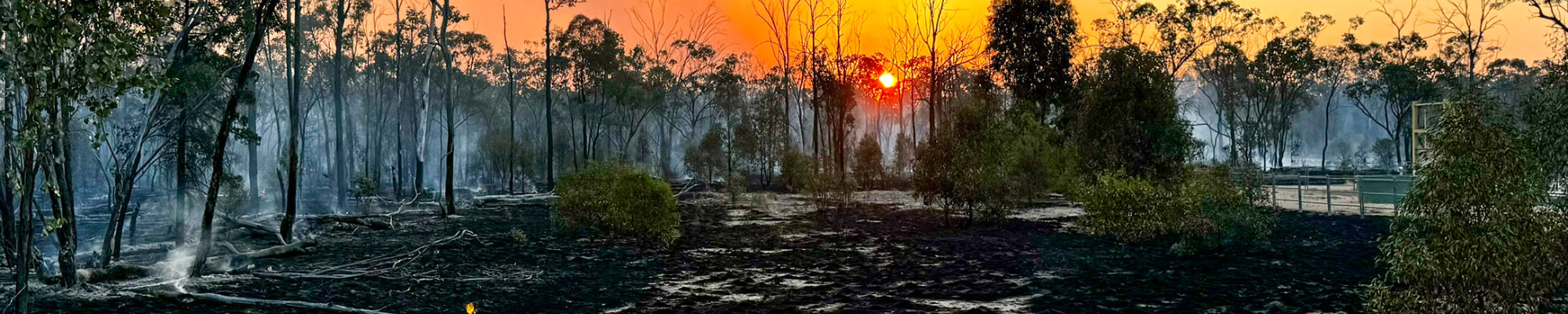 A landscape image of a bushfire.