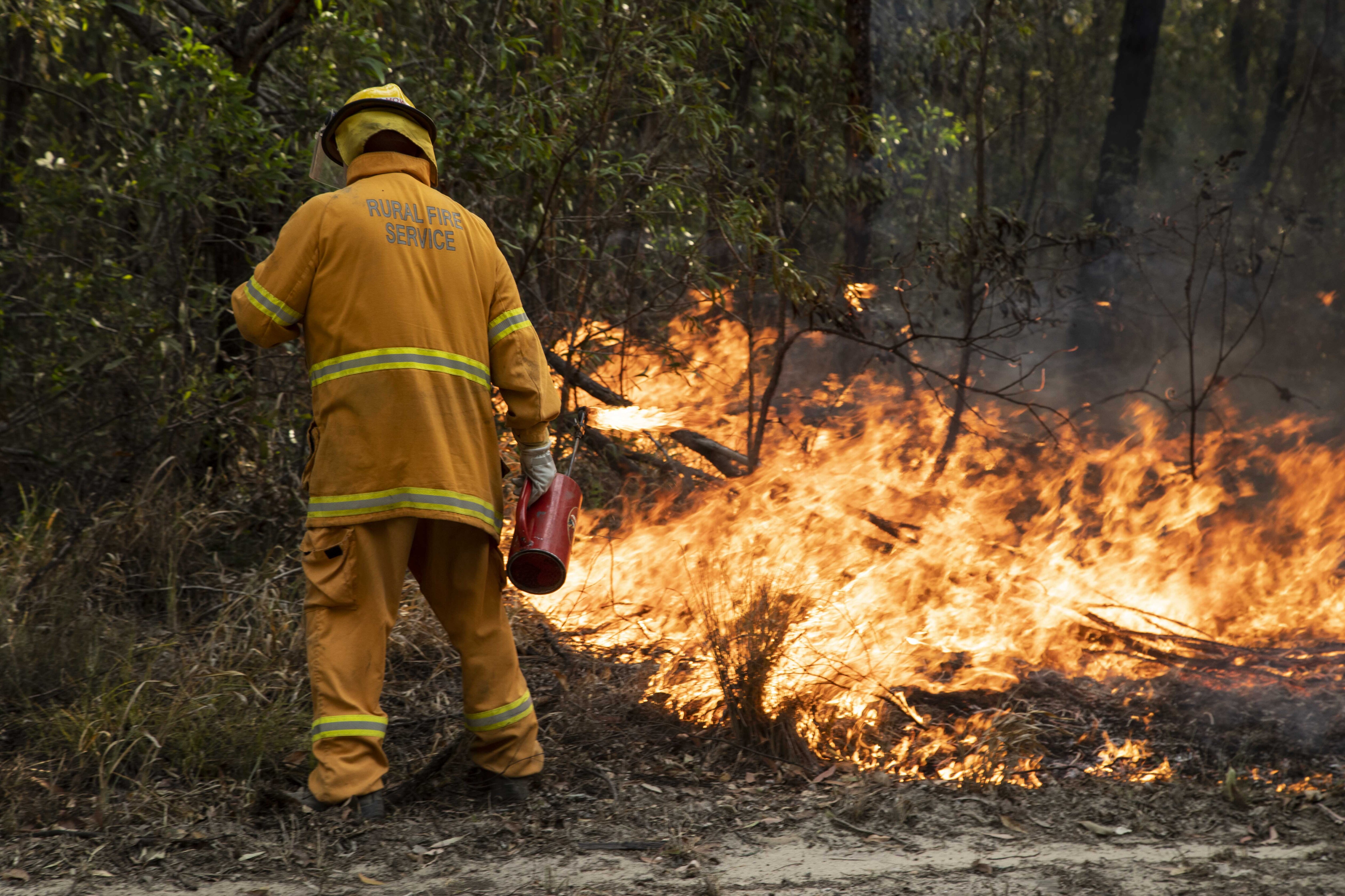 A Rural Fire Service volunteer stands with their back to the camera holding a drip torch and lighting vegetation.