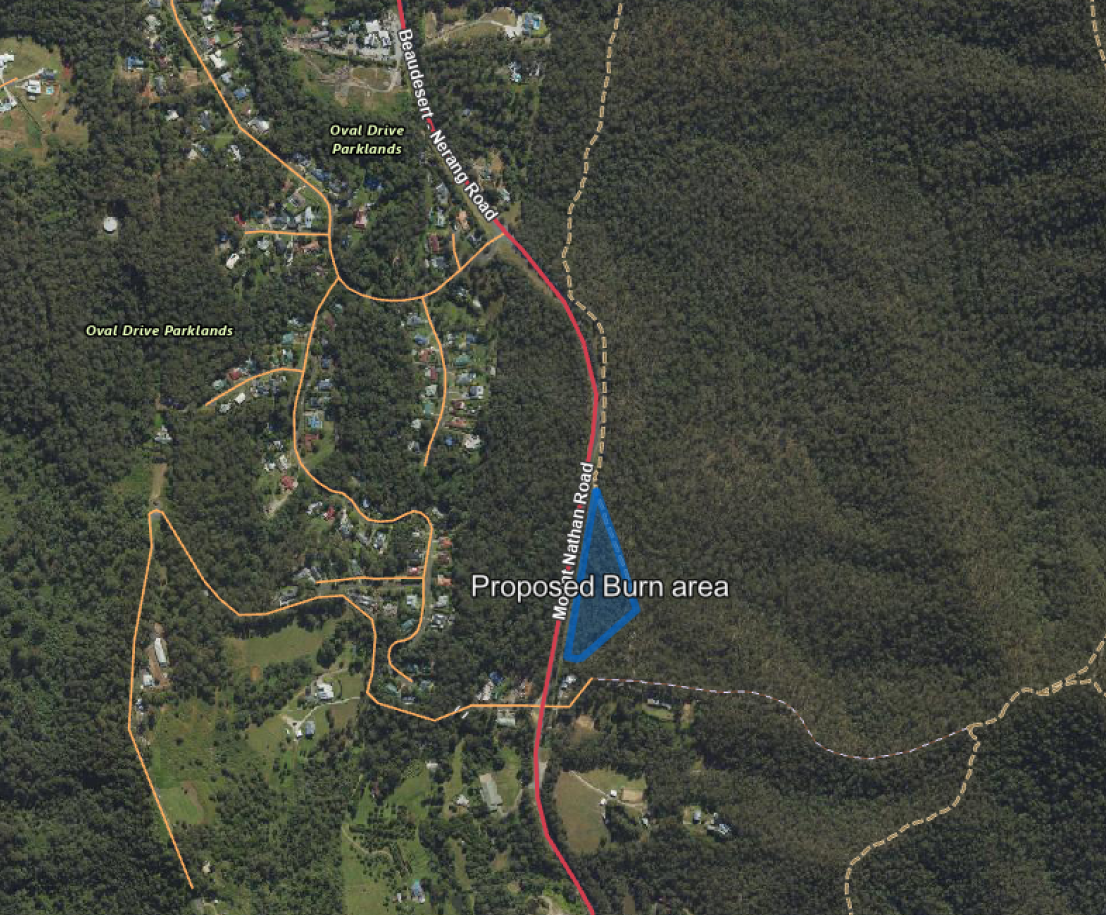 Nerang National Park